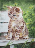 /album/zvieratka-suchy-pastel/macicka-jpg/