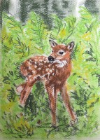 /album/zvieratka-suchy-pastel/obraz-jpg/