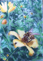 /album/zvieratka-suchy-pastel/vcela-jpg/