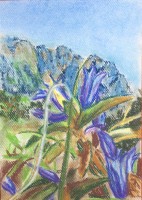 /album/kvety-suchy-pastel/a102-jpg/