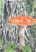 /album/kvety-suchy-pastel/a100-jpg/